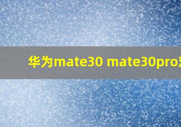 华为mate30 mate30pro对比